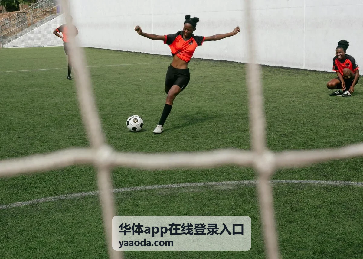 华体app在线登录入口赛事直播服务