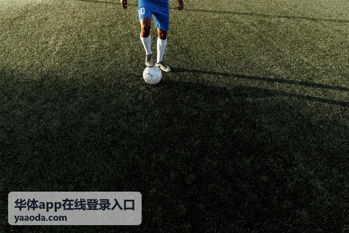 华体app温网男单决赛直播